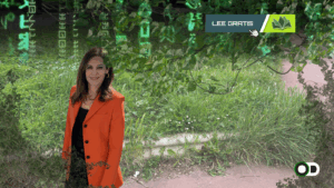 OD CARATULA 169 (20)